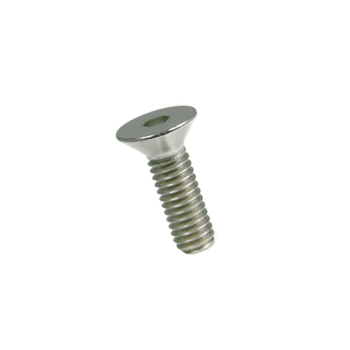 Stainless Steel Screw 1/2"